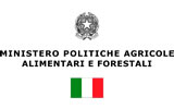 foreste.jpg